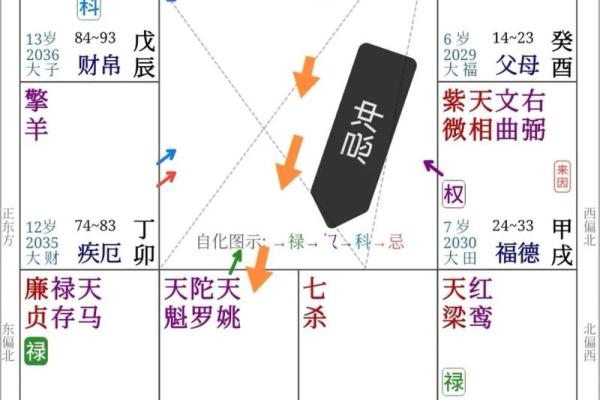 紫薇斗数天马一生机会