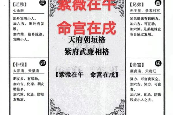 紫薇斗数成就