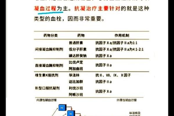 抗a凝集是什么血型