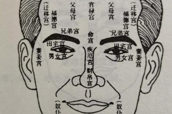人脸拍照算命女