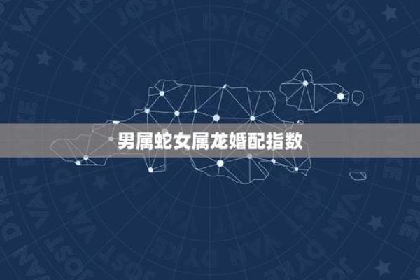 属龙男和属蛇女相配吗 属龙男配对的属相婚配表
