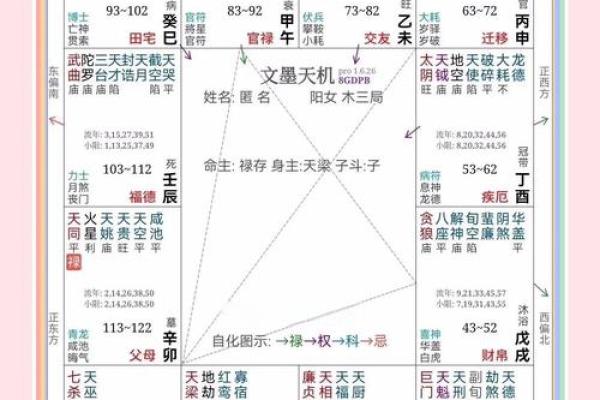 紫薇斗数看文采