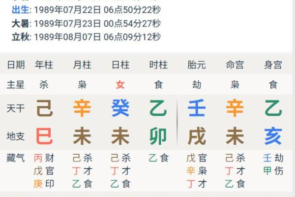 辛未八字