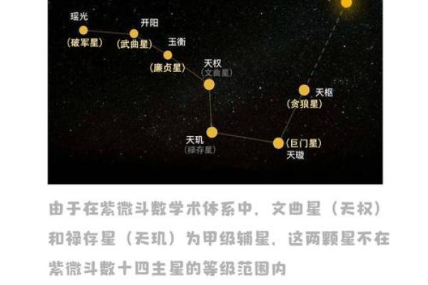 庄氏飞星派紫微斗数 庄氏飞星派紫微斗数入门票 初阶篇 中？