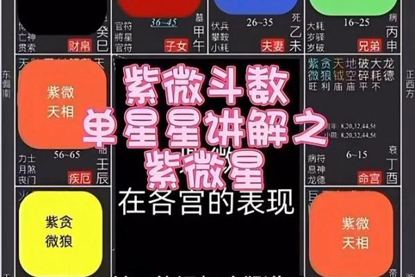 庄氏飞星派紫微斗数 庄氏飞星派紫微斗数入门票 初阶篇 中？