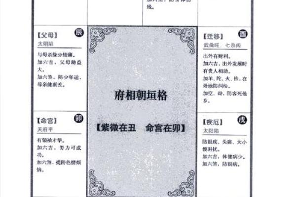 紫薇斗数全解PDF的简单介绍