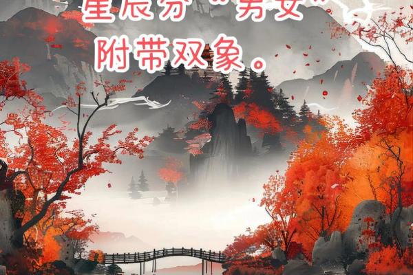 天机斗墨紫薇斗数