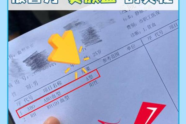 血行都有什么血型 血行的血型有哪些