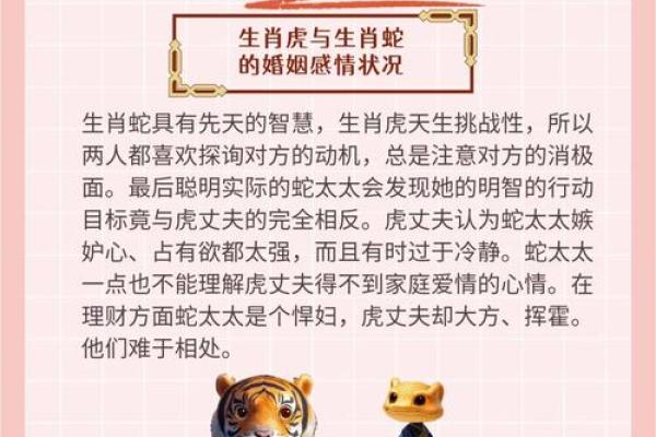 生肖虎的婚姻配对方面有哪些忌讳？