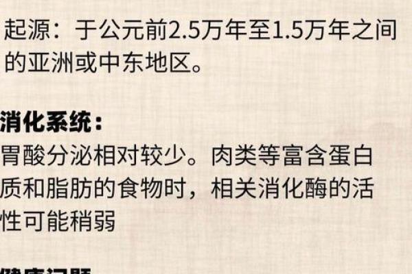 血型人吃对食物倍儿瘦