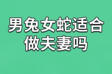 生肖兔的最佳婚配 谁跟属兔人更配对