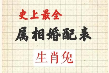 生肖属兔合婚须知，属兔配对需要注意的问题！