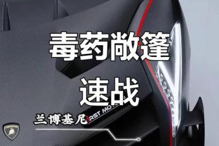 风水八卦图_表示自己之一辆车子将要买兰博基尼毒药
