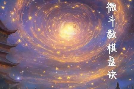 紫薇斗数紫薇七杀在亥