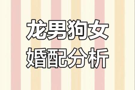 属狗巨蟹座男与属猪双鱼女配对合适吗