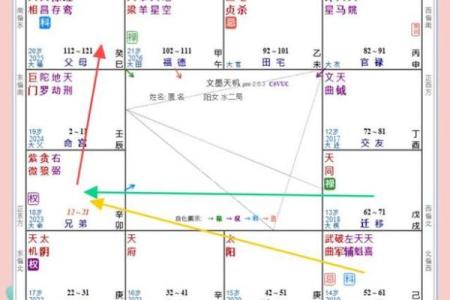 紫薇斗数怎么看晚运