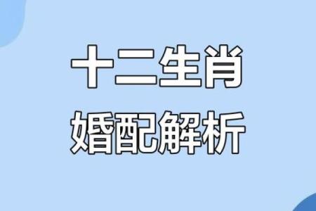 七九年属什么生肖配对