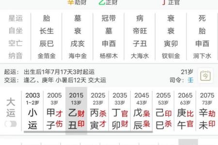 问真紫薇斗数