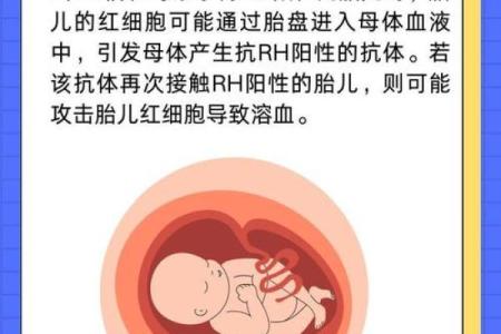 血型中rh阴性是什么意思