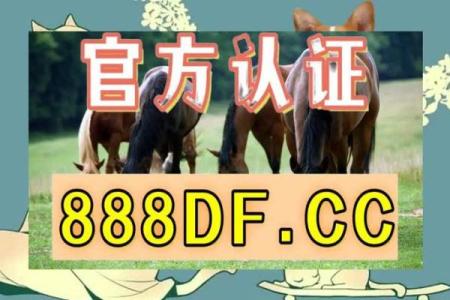 姓名最佳配对 姓名最佳配对查询？