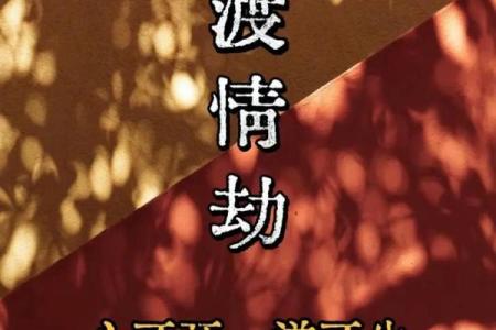 哪个星座渡情劫最难忘