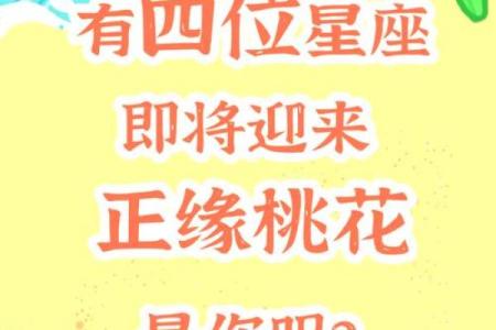 如何布置桃花运方位