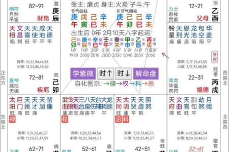 紫薇斗数赚钱