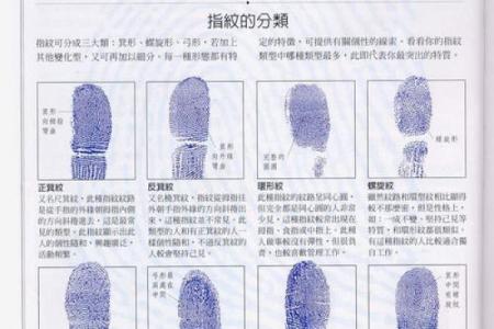 详细分析：手掌中的指纹预测算命，快来算算你的运势如何！
