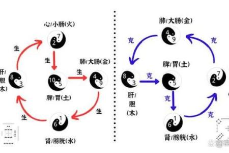 从易经详谈，风水与中医之间的关系！