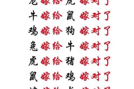 新郎新娘姓名配对大全 新郎新娘名字组合软件？
