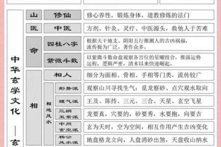 八字事业职业分析，揭示命运奥秘