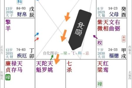 紫薇斗数天马一生机会