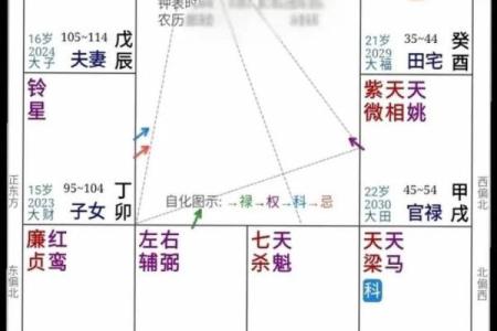 紫薇斗数成就
