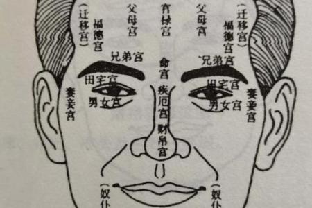 人脸拍照算命女