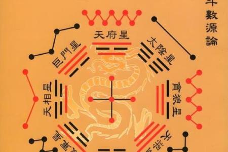 紫薇斗数明盘