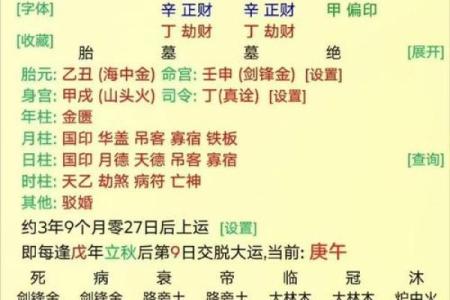 辛未八字