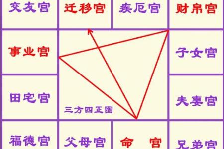 紫薇斗数讨论