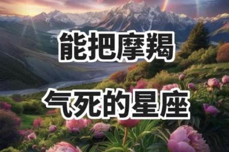白羊座男生和摩羯座女生配对 白羊男和摩羯女配吗