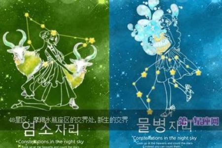 摩羯座和水瓶座到底是配对的吗