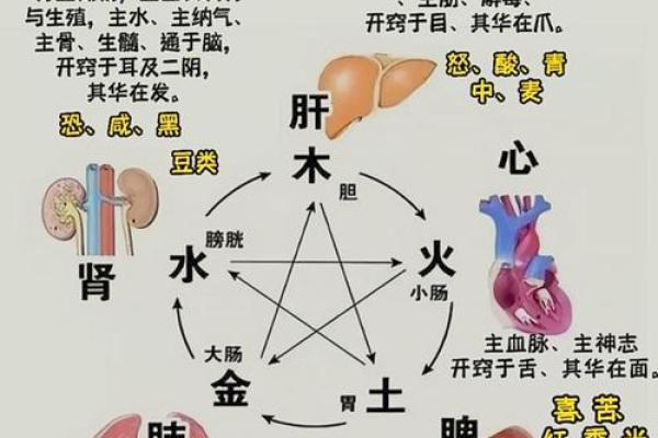 一命二运三风水四积阴德五读书 如何创造好运