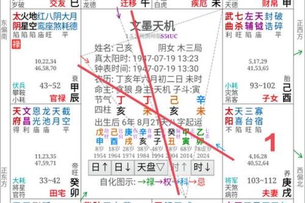 紫薇斗数怎么看