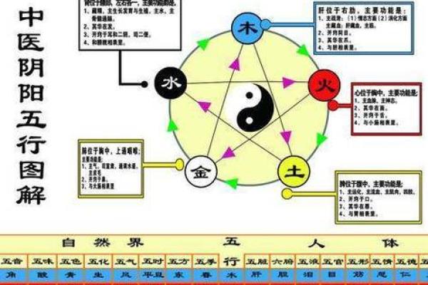 金木水火谁最土，八卦方位属性介绍
