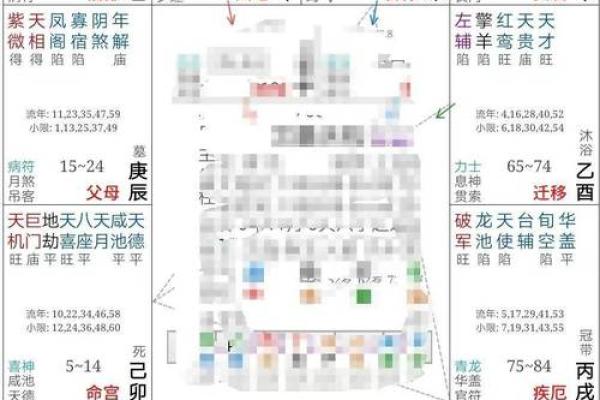 紫薇斗数案例解析