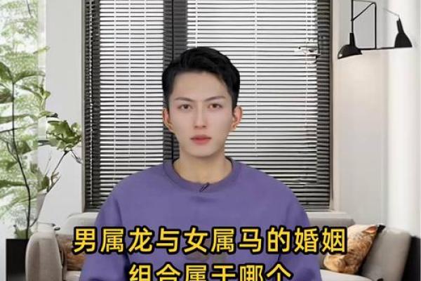 婚姻配对属龙和属马姻缘怎么样