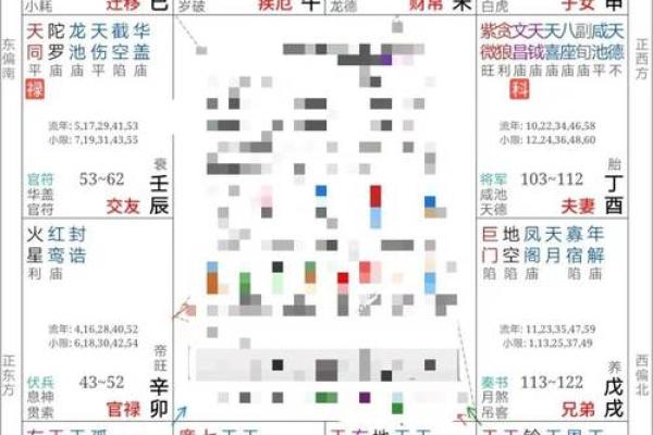 紫薇斗数疾厄戊申