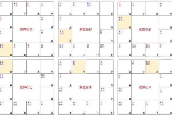 紫微斗数命盘怎么看星