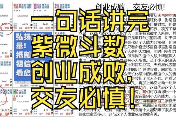 紫薇斗数看创业与否
