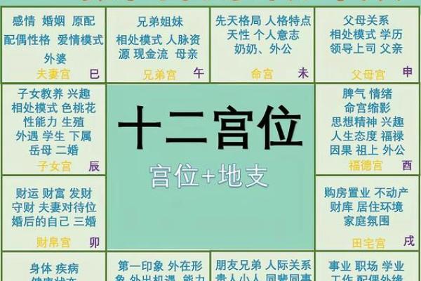 紫微斗数太阳星在各宫的影响