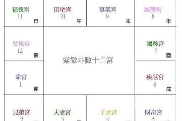 紫薇斗数研究室