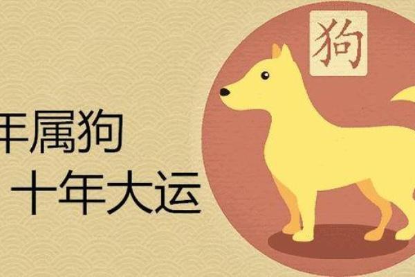 属狗是哪一年出生的 属狗的男孩出生吉日